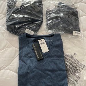 3 NWT Banana Republic Men's V-Neck Luxury Tees in Various Blue Tones Sz XL/Tall